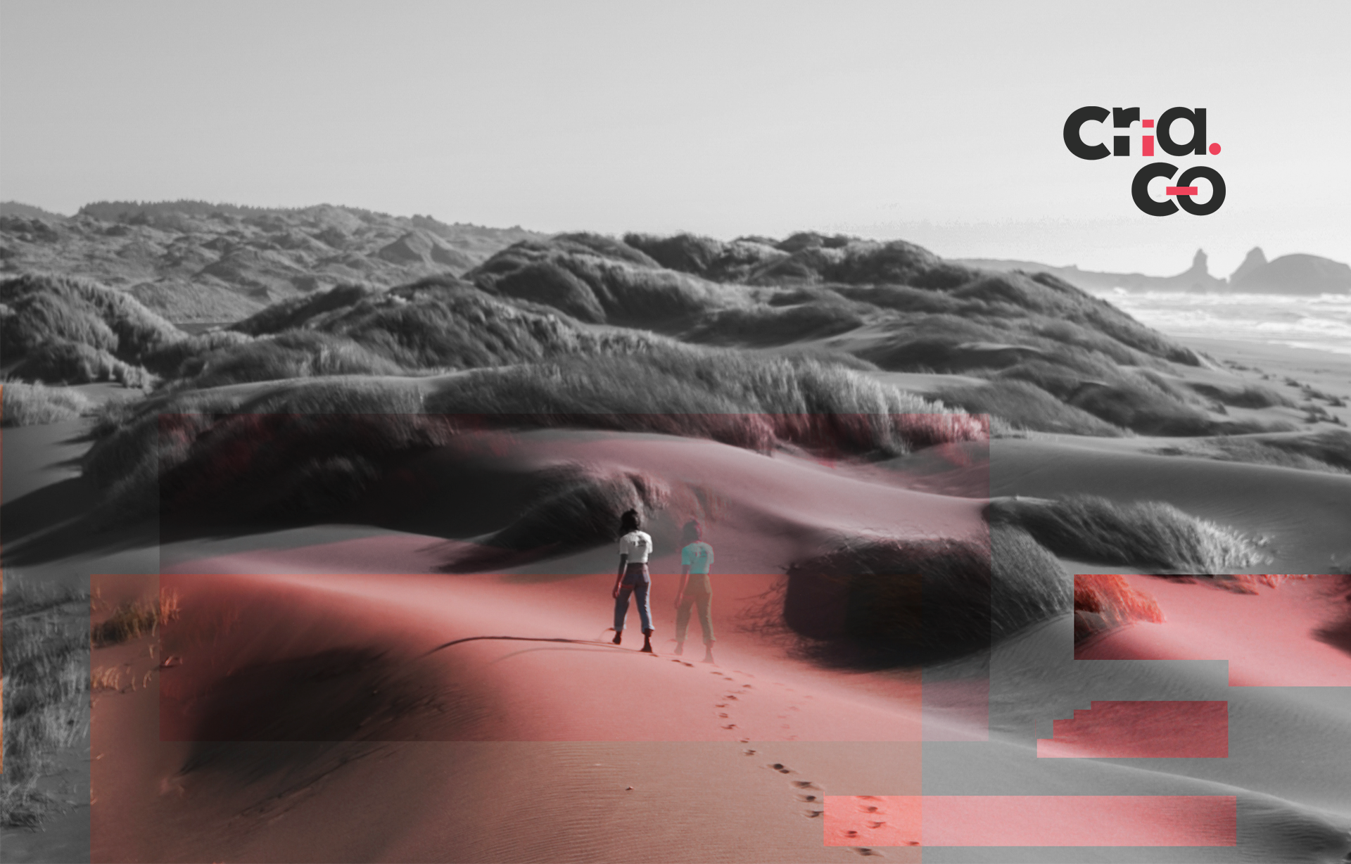 Cria.co visual identity
